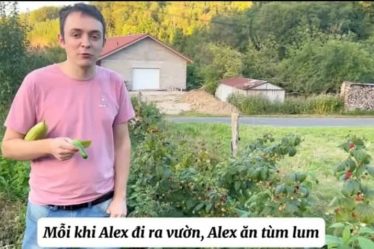 "Ăn tùm lum" - Alex và Hoa