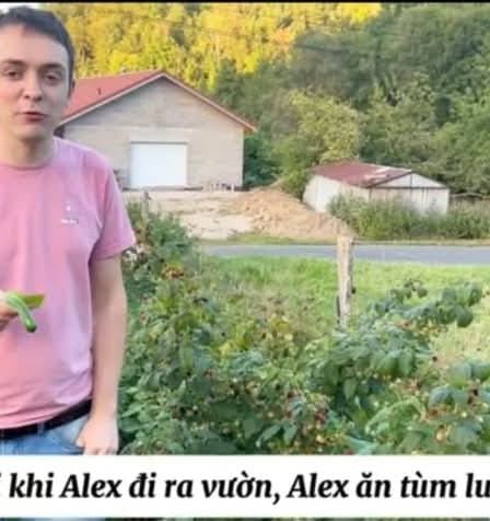 "Ăn tùm lum" - Alex và Hoa