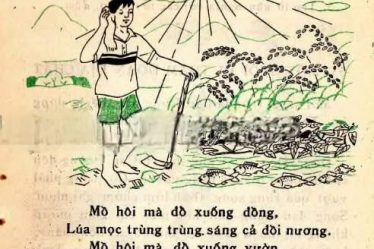 Giọt mồ hồi - Tiếng Việt 2